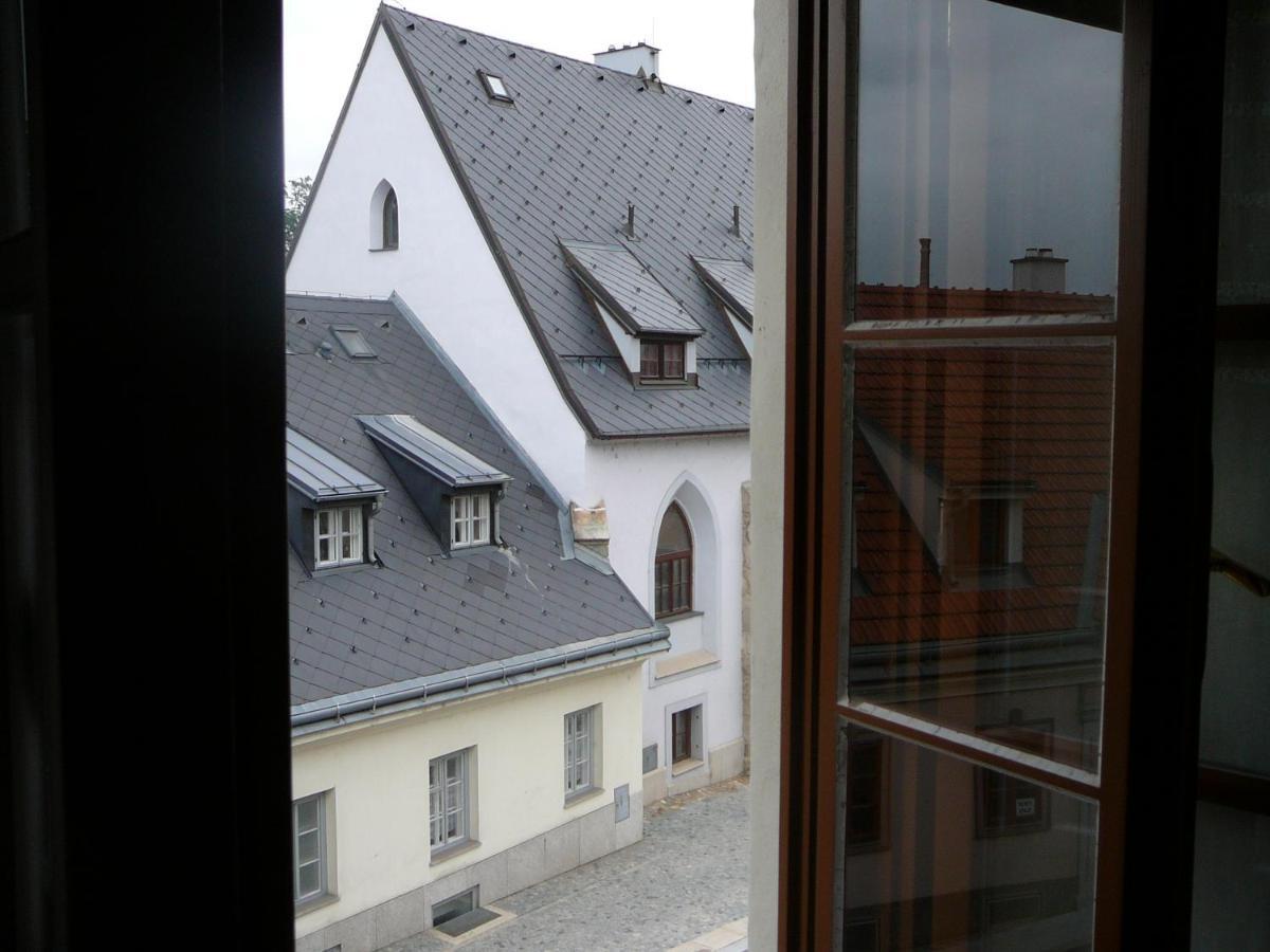Penzion-Apartman Soucek Jindrichuv Hradec Bagian luar foto